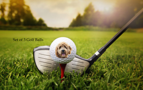 dog face ball golf ball