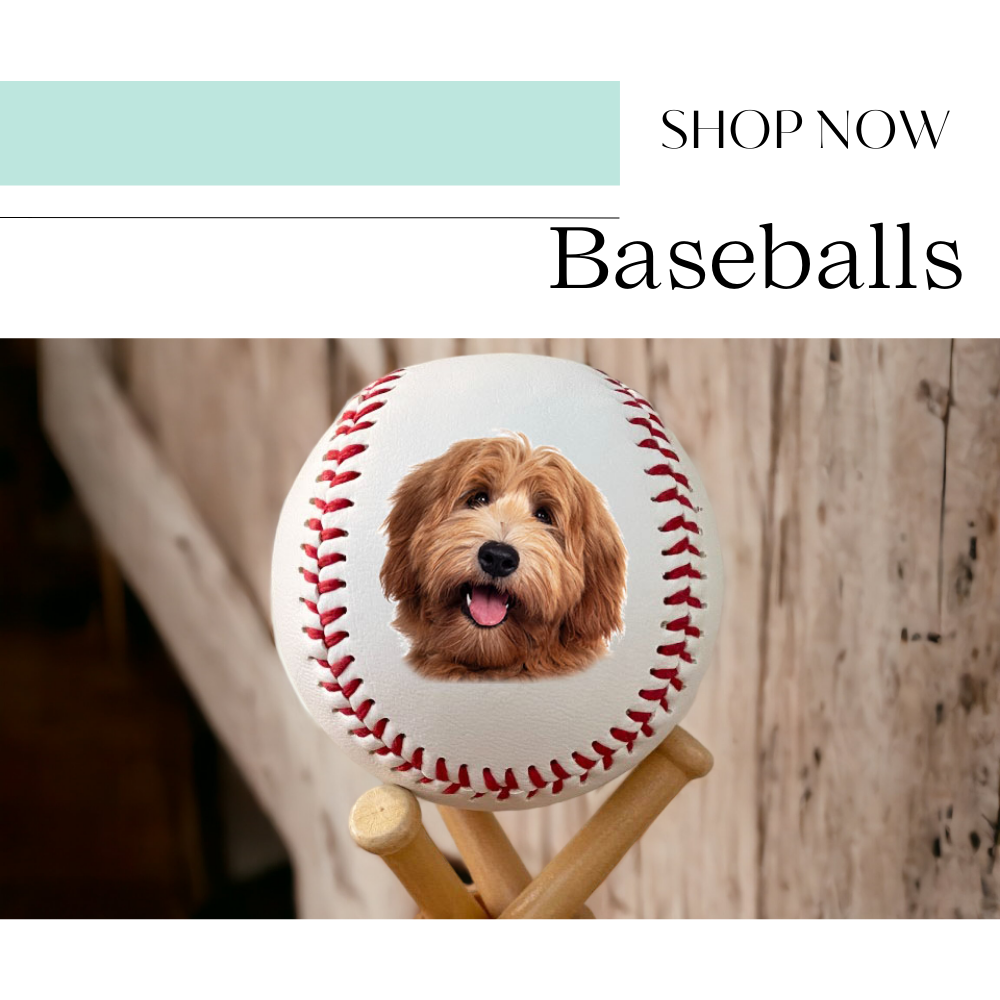 regulation size baseball with a dog's face on it