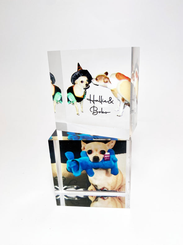 acrylic photo block dog memorial photos and names