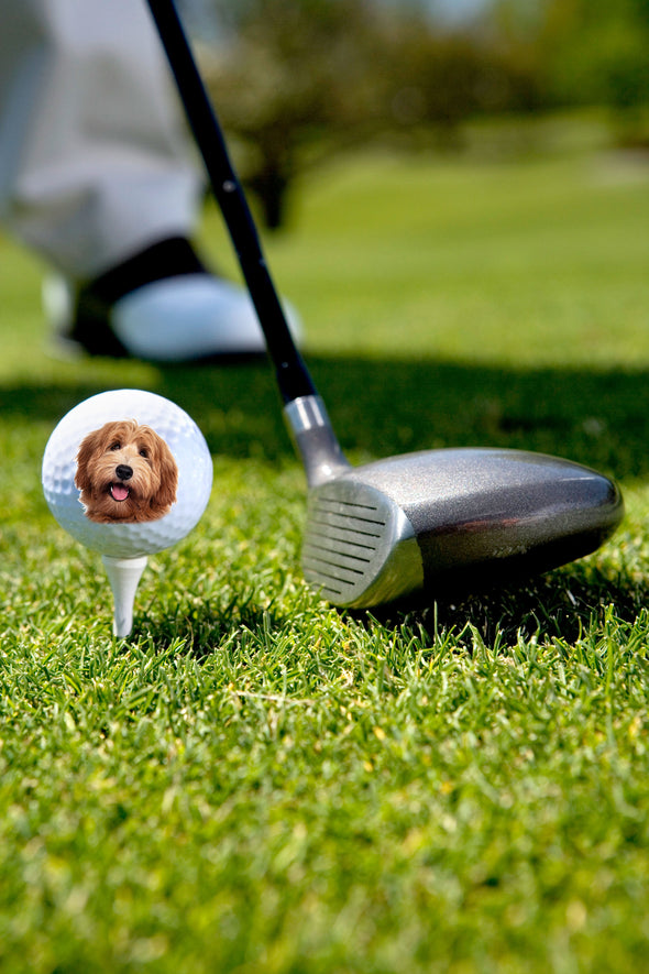 faceball dog face golf ball on tee