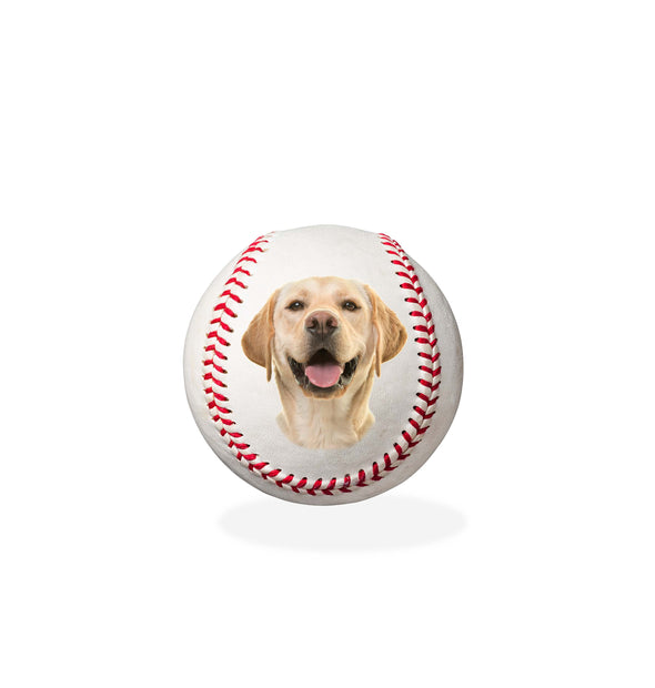 Your Dog's Face on a Baseball - uv printed baseball